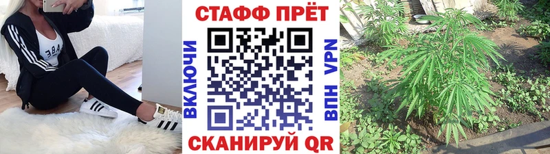 Где купить Саянск ГАШ Cocaine Амфетамин Псилоцибиновые грибы Меф Каннабис