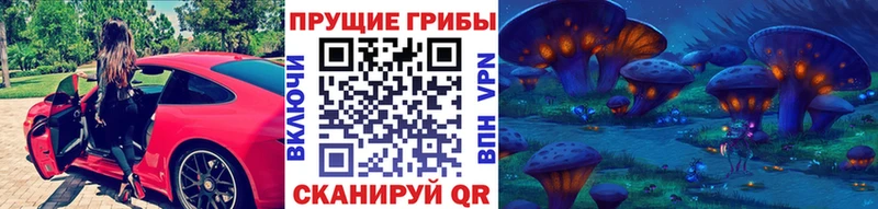 Псилоцибиновые грибы MAGIC MUSHROOMS где купить наркоту mega вход Саянск