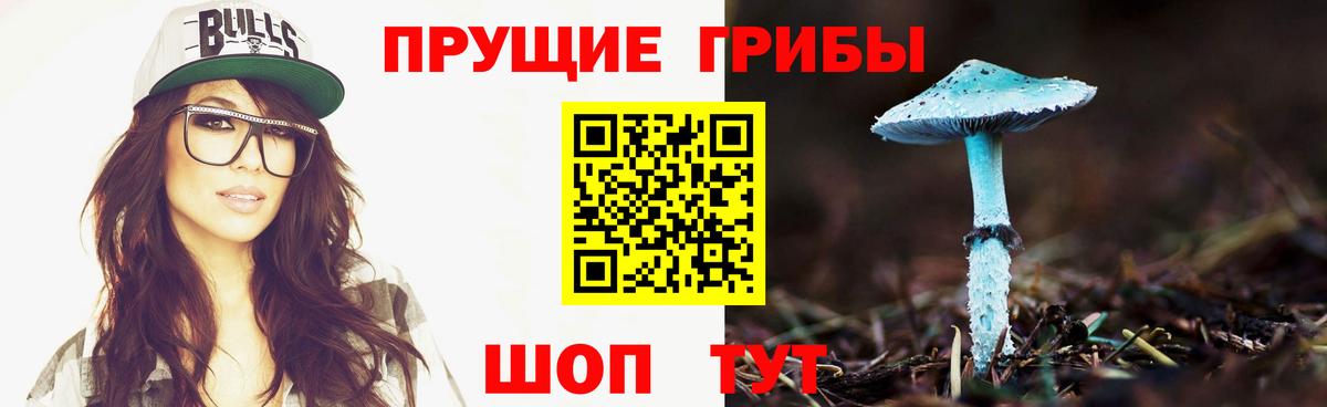 Галлюциногенные грибы Cubensis Саянск